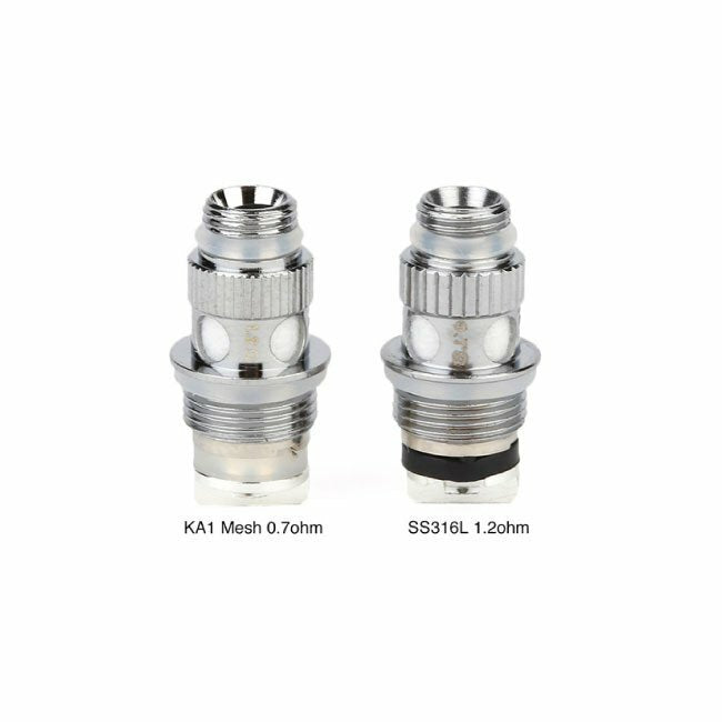 GEEKVAPE RESISTENZA NS PER FLINT (5 PEZZI)