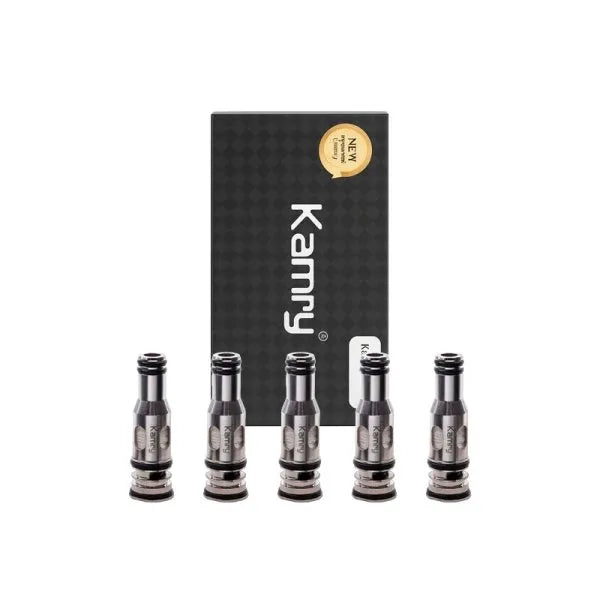 CONFEZIONE DA 5 RESISTENZE P6 0.5Ω Kamry